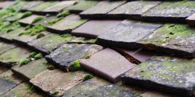 Cambridge roof repair costs